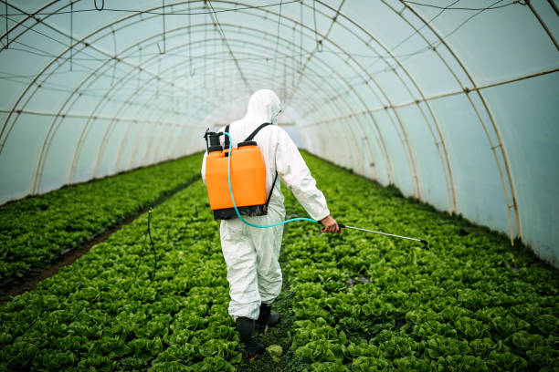 Best Pest Control Near Me  in Napili Honokowai, HI