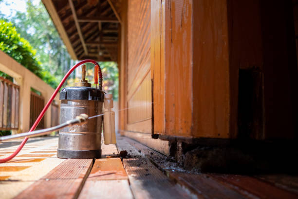 Best Ant Control Services  in Napili Honokowai, HI